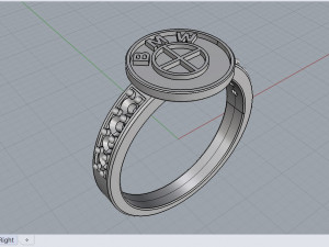 logo ring 3D 모델