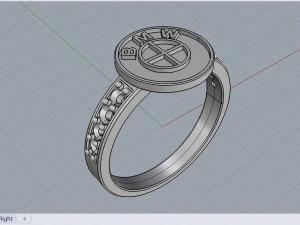 logo ring 3D Model