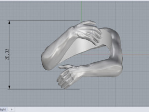hands ring Model 3D