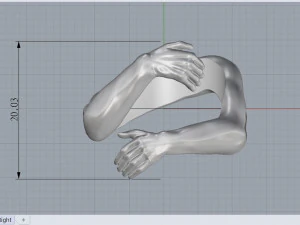 hands ring 3D Model