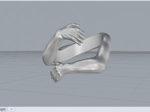 hands ring Model 3D