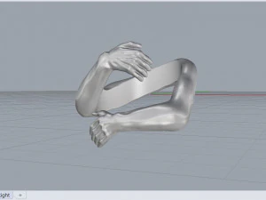 hands ring 3D Model