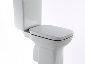 toilet roca debba Modello 3D