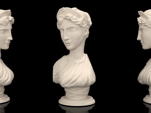 bust girl 3D 프린트 모델