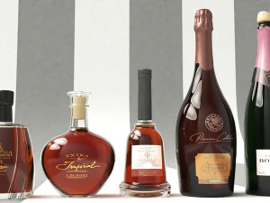 bira ve alkol 3D Model