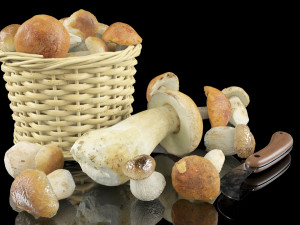 mushrooms in high quality with textures and materials just drop into your scenes and render 3D 모델