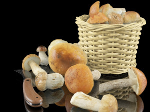 mushrooms in high quality with textures and materials just drop into your scenes and render Model 3D