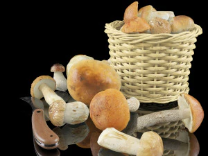 mushrooms in high quality with textures and materials just drop into your scenes and render 3D Model
