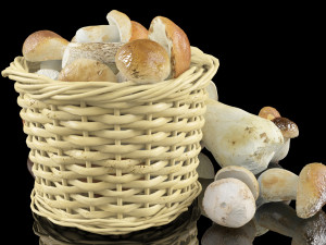 mushrooms in high quality with textures and materials just drop into your scenes and render Model 3D