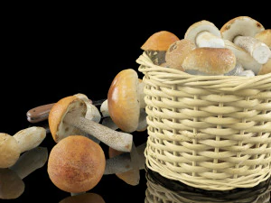 mushrooms in high quality with textures and materials just drop into your scenes and render 3D Model