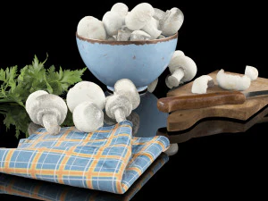 mushrooms in high quality with textures and materials just drop into your scenes and render 3D Model