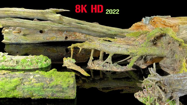 10 types of logs and sticks 3D 模型 .c4d .max .obj .3ds .fbx .stl .blend 