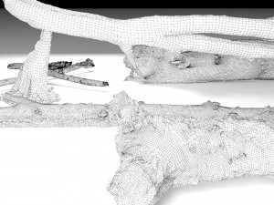 10 types of logs and sticks 3D 模型