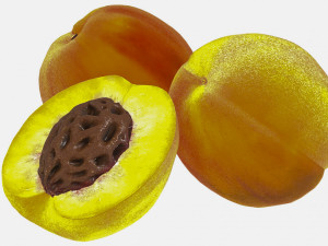 Vegetables and fruits 3Dモデル
