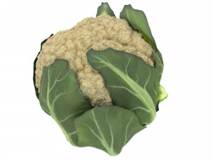 Vegetables and fruits 3Dモデル