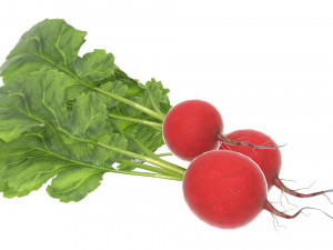 Vegetables and fruits 3Dモデル