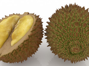 Vegetables and fruits model 3D Modell