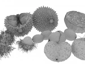 Vegetables and fruits model 3D Model