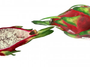 Vegetables and fruits model 3D Model