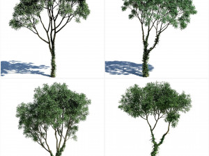 Deciduous tree 4 pieces Modelo 3D