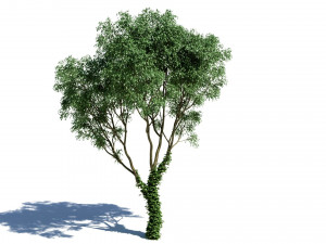Deciduous tree 4 pieces Modelo 3D