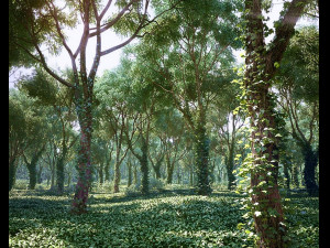 Deciduous tree 4 pieces Modelo 3D
