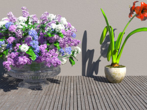Flowers for the interior Modello 3D