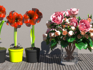 Flowers for the interior Modello 3D