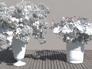 Flowers for the interior Modello 3D