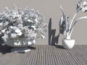 Flowers for the interior Modello 3D
