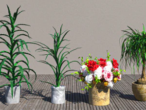 Flowers for the interior 3D Model