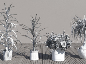 Flowers for the interior Model 3D