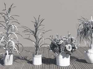Flowers for the interior 3D Model