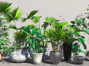 Flores para el interior. Modelo 3D