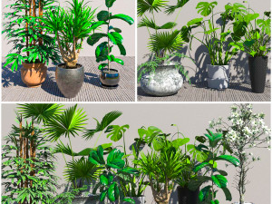 Flowers for the interior 3D 모델