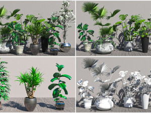 Flowers for the interior 3D 모델
