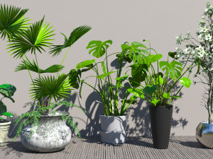 Flowers for the interior 3D 모델