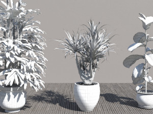 Flowers for the interior 3D 모델