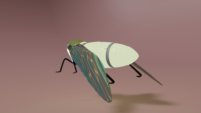 cicada have simple wing ring Modèle 3D .c4d .max .obj .3ds .fbx .stl .blend 