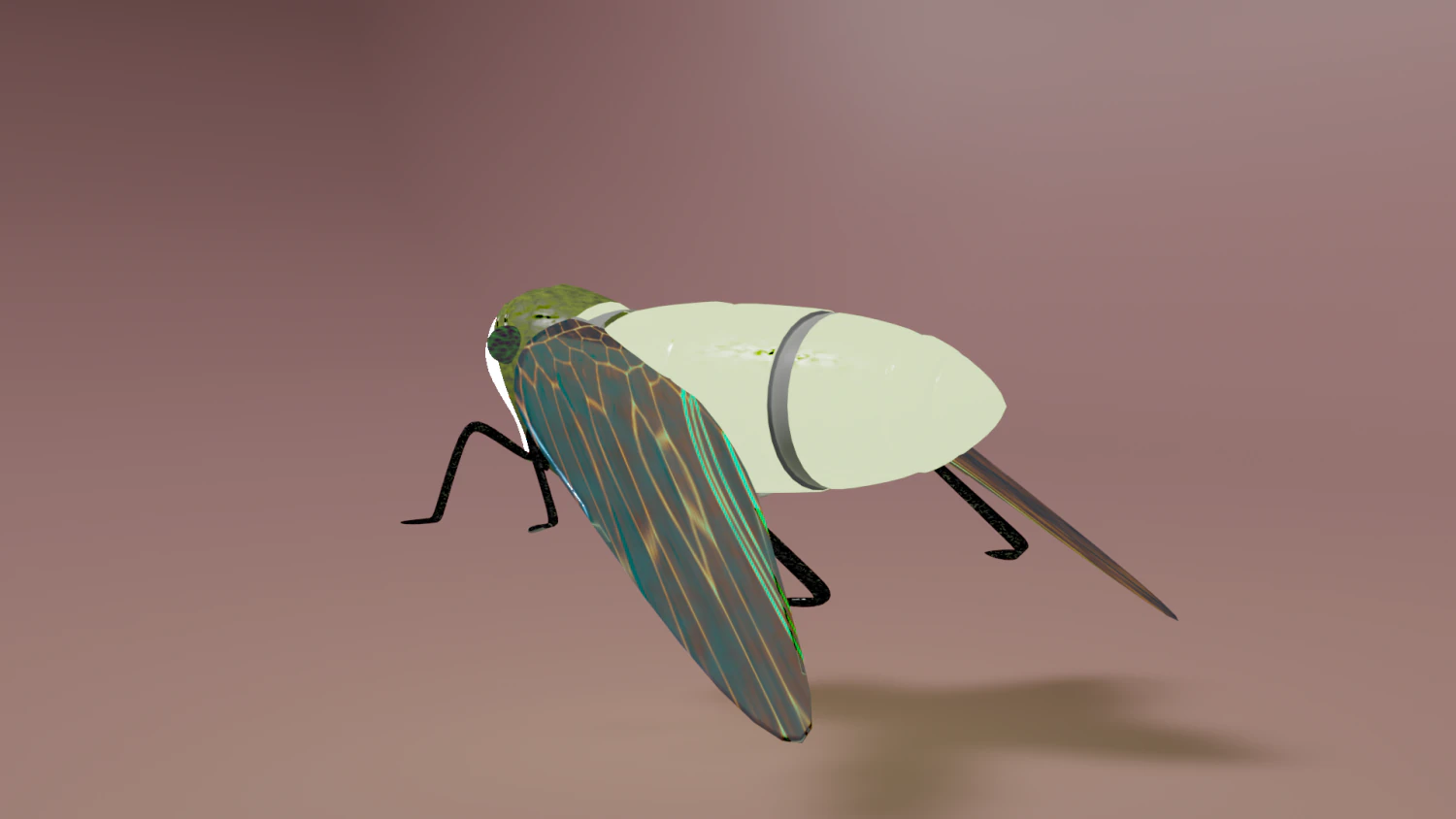 cicada have simple wing ring 3D Model .c4d .max .obj .3ds .fbx .stl .blend