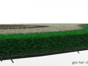 Avacado type carpet - rug 3D 3D Model