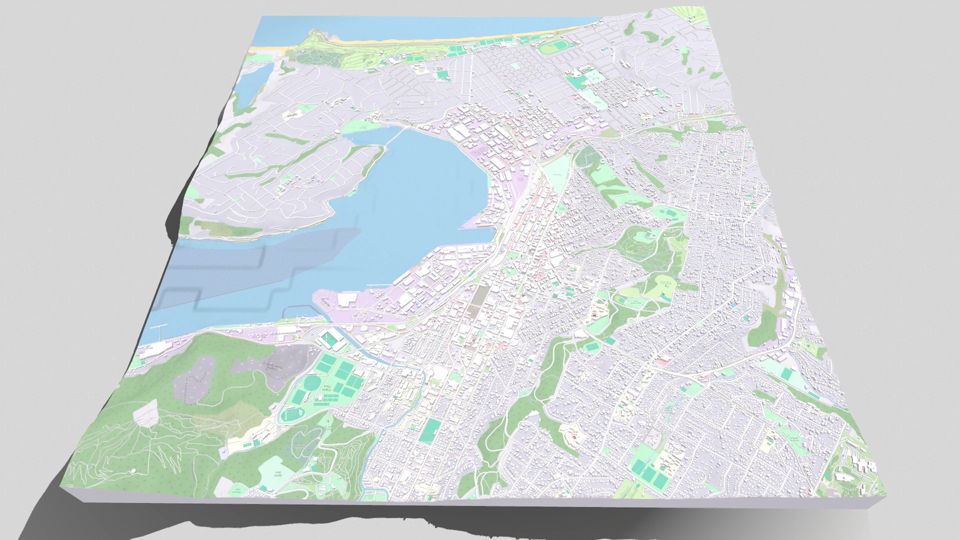 Cityscape Dunedin South Island of New Zealand 3D Model .c4d .max .obj .3ds .fbx .stl .blend 