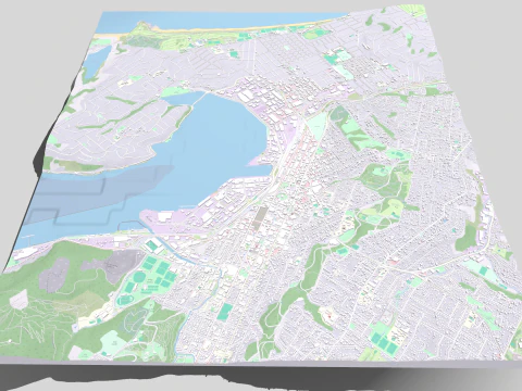 Şehir manzarası Dunedin Yeni Zelanda'nın G&uuml;ney Adası 3D Model
