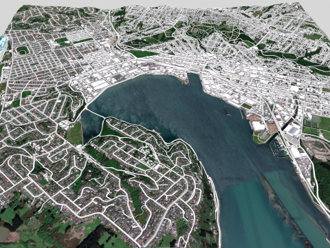 Cityscape Dunedin South Island of New Zealand 3D 模型