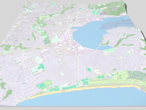 Cityscape Dunedin South Island of New Zealand 3D 模型
