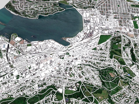 Cityscape Dunedin South Island of New Zealand 3D Model