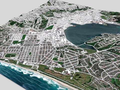 Cityscape Dunedin South Island of New Zealand 3D 模型