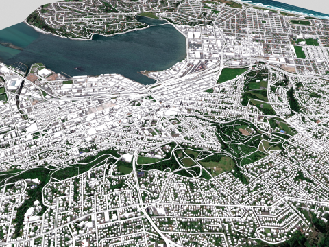 Cityscape Dunedin South Island of New Zealand 3D 模型
