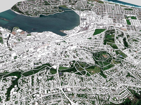 Cityscape Dunedin South Island of New Zealand 3D Model