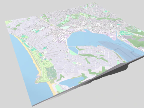 Cityscape Dunedin South Island of New Zealand 3D Model